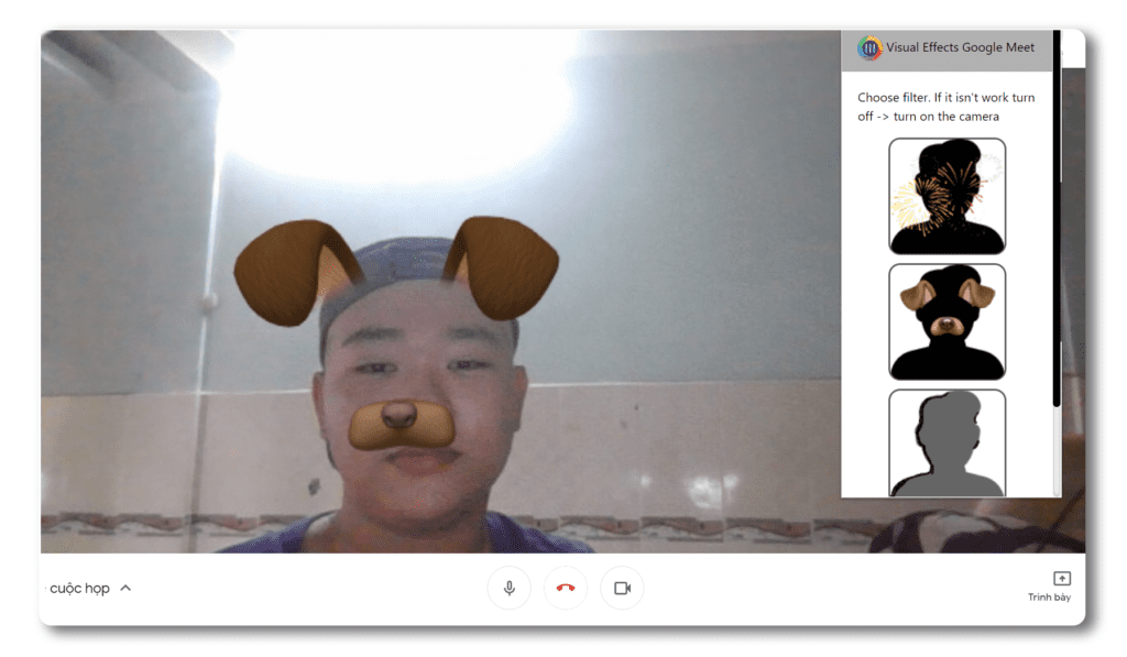 Visual Effects for Google Meet Filters