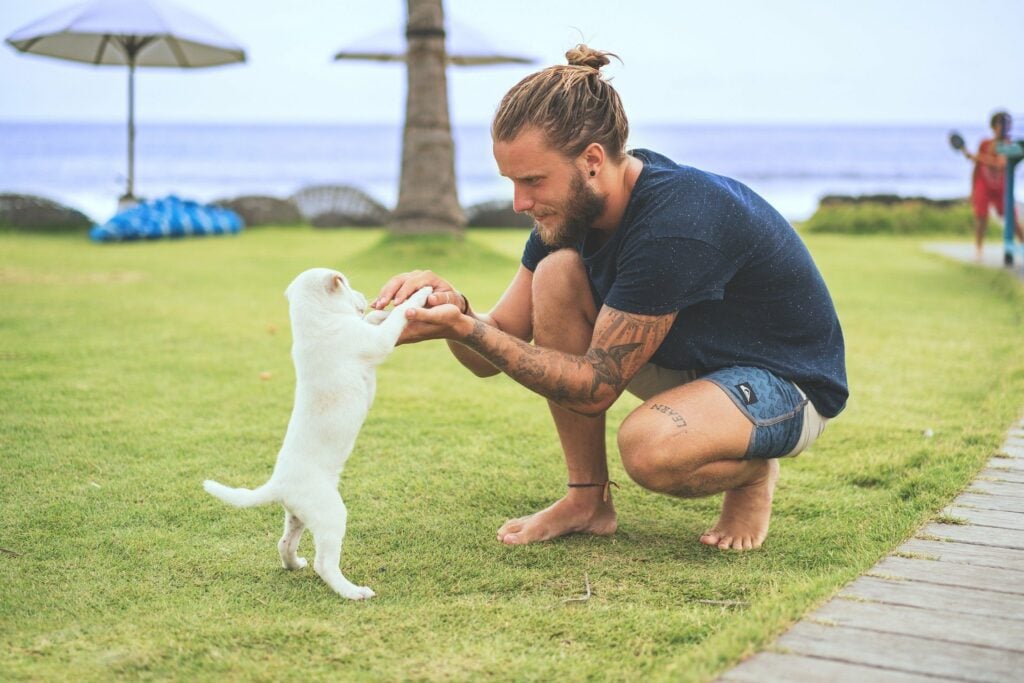 Cool guy plays with white puppy in seaside park