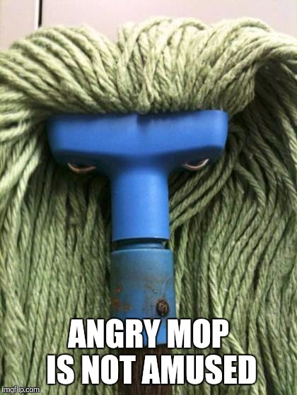 Angry mop is not amused