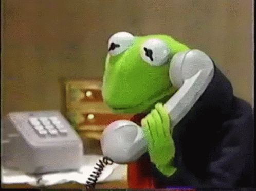 Phone calls with your colleagues like Kermit
