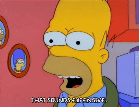 Homer: That sounds expensive