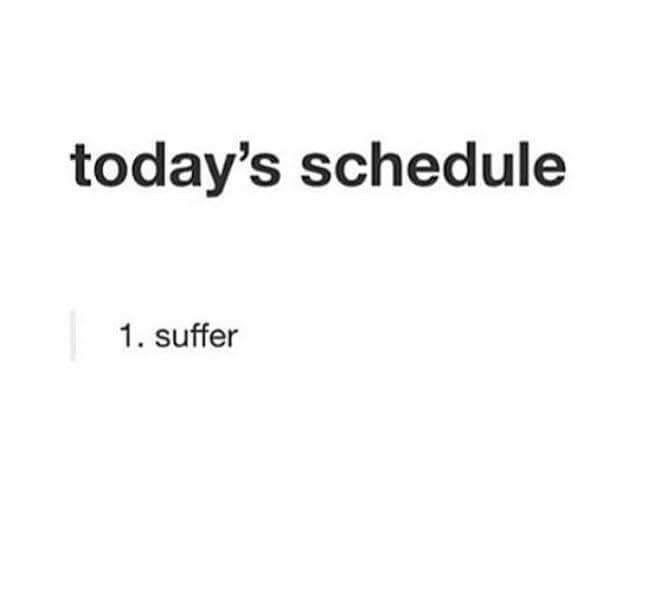 today's schedule: 1) Suffer