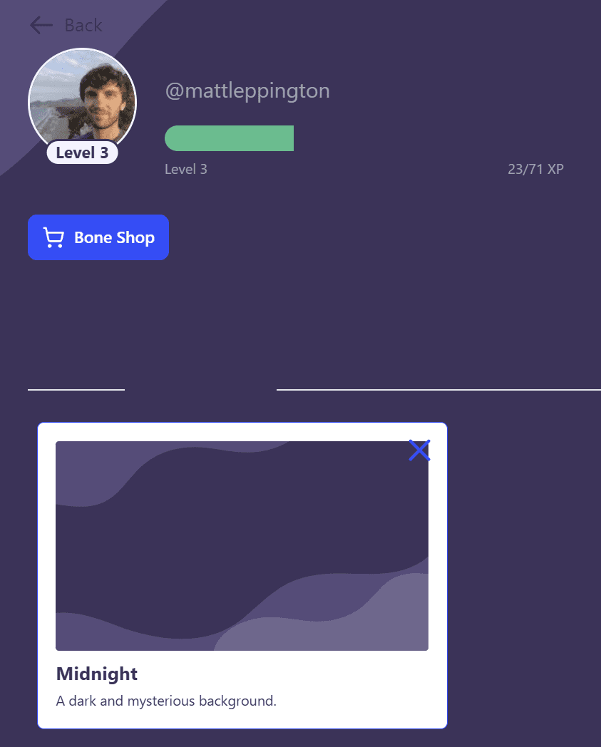 Знімок екрана сторінки «Мої колекції» на StudyFetch після застосування темно-синього фону.